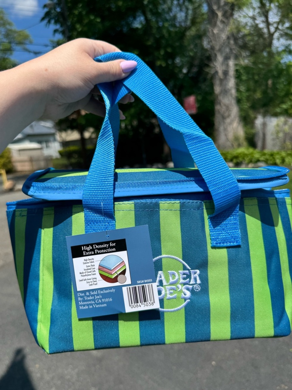 NWT! Trader Joe's mini Striped Insulated Tote - Blue & Lime